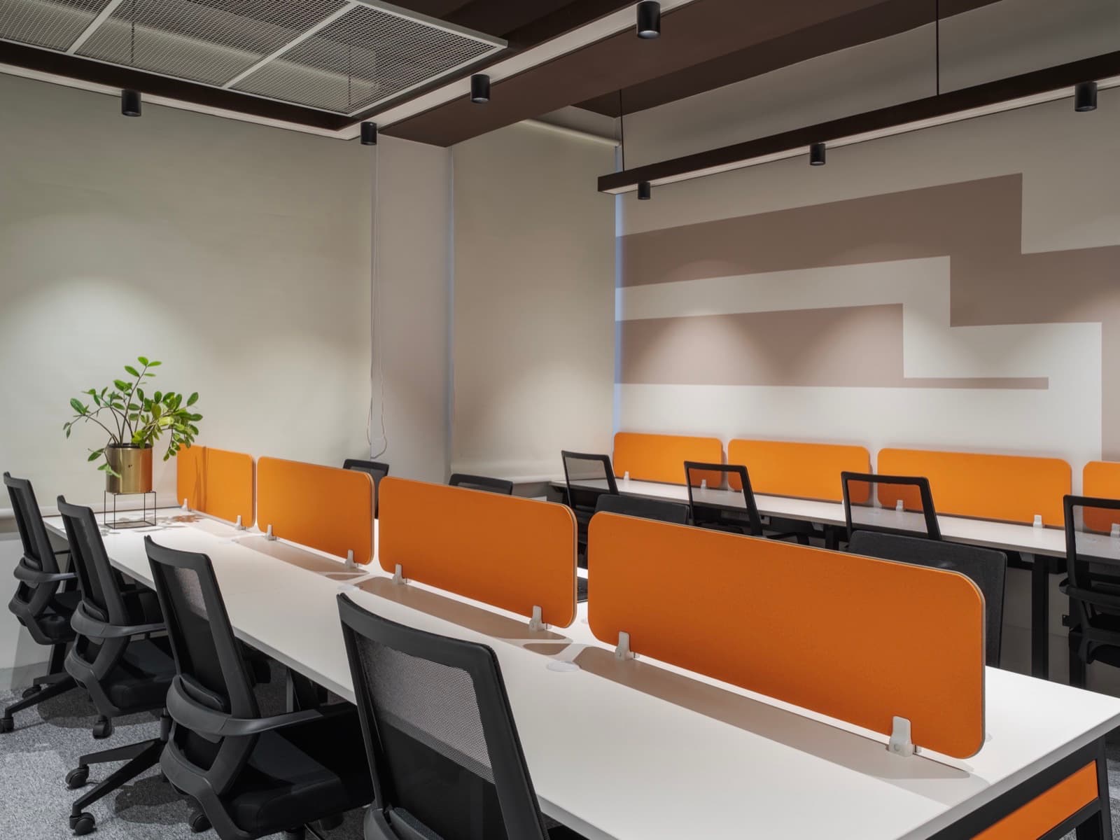 Geometric feature wall and plant-lined desks in the 12 seater lake view private office at Fliqzo