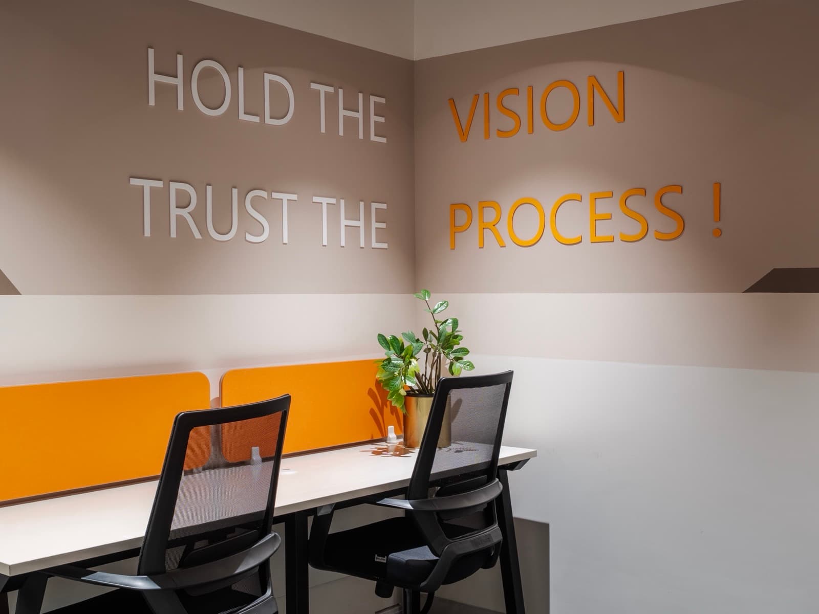 Vision and Process lettering with a desk plant in the 4 seater lake view private office at Fliqzo