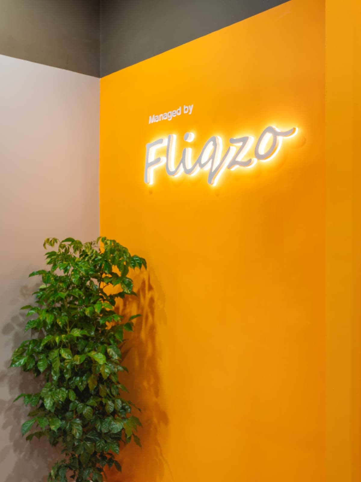 Managed by Fliqzo backlit sign on the orange feature wall beside a live plant in the Exzeo office, Coimbatore